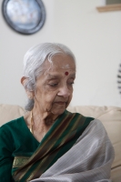 Lakshmi Shankar  - 2013