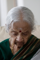 Lakshmi Shankar - 2013